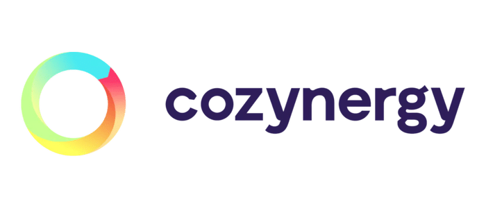 logo cosynergy